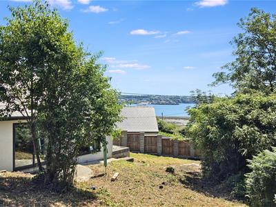 Picture 4